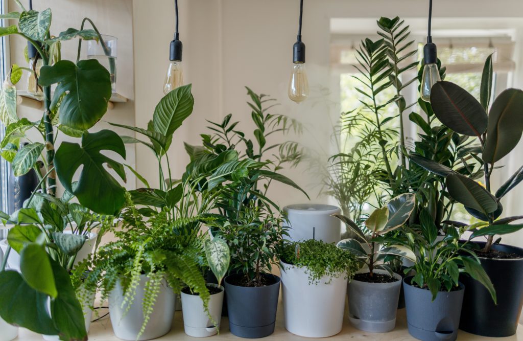 plant room
